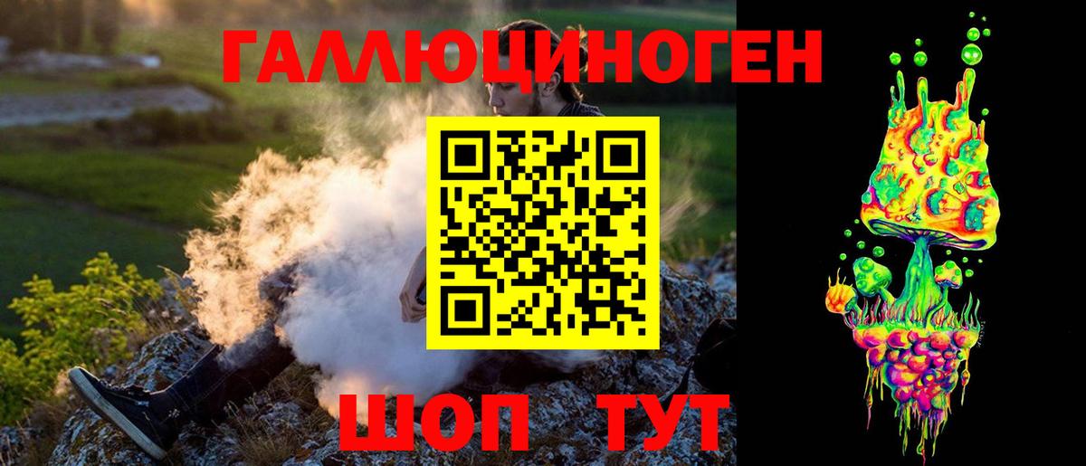 Галлюциногенные грибы Psilocybe Шарыпово