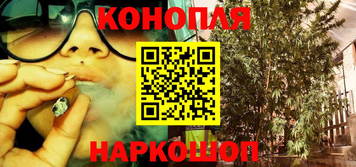 Канабис конопля Шарыпово